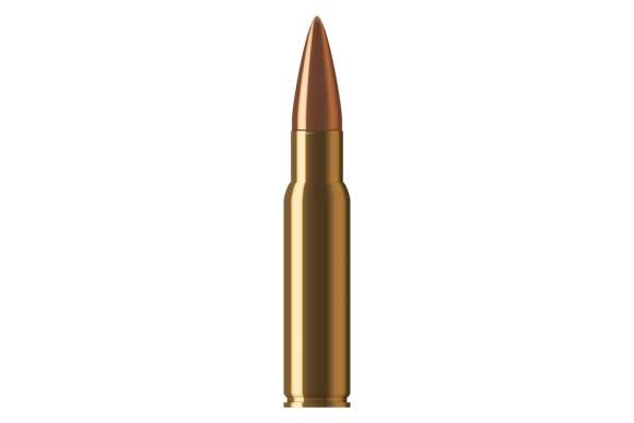 Download Shotgun Caliber Ammo. Realistic Metal - Shotgun Collection
