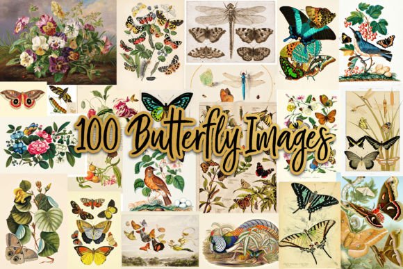 Download 100 Vintage Victorian Butterfly Ephemera - Vintage victorian Collection